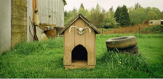 《神之亵渎》开发商再发神秘预告 2024年秋季推出